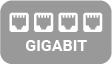 gigabit